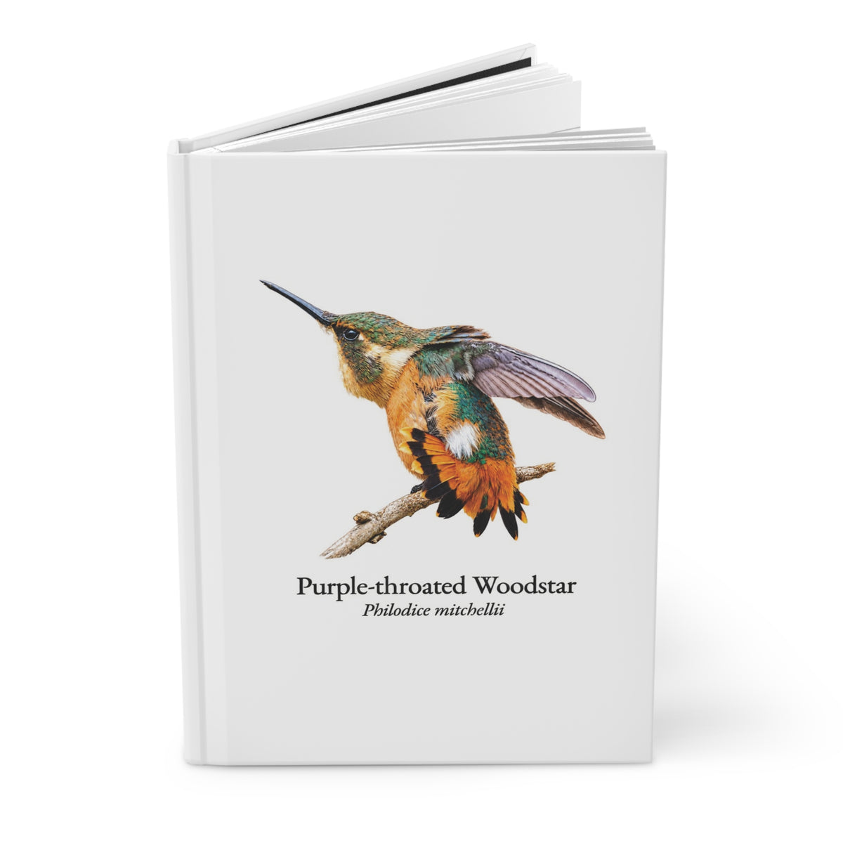 Purple-throated Woodstar female Hardcover Journal