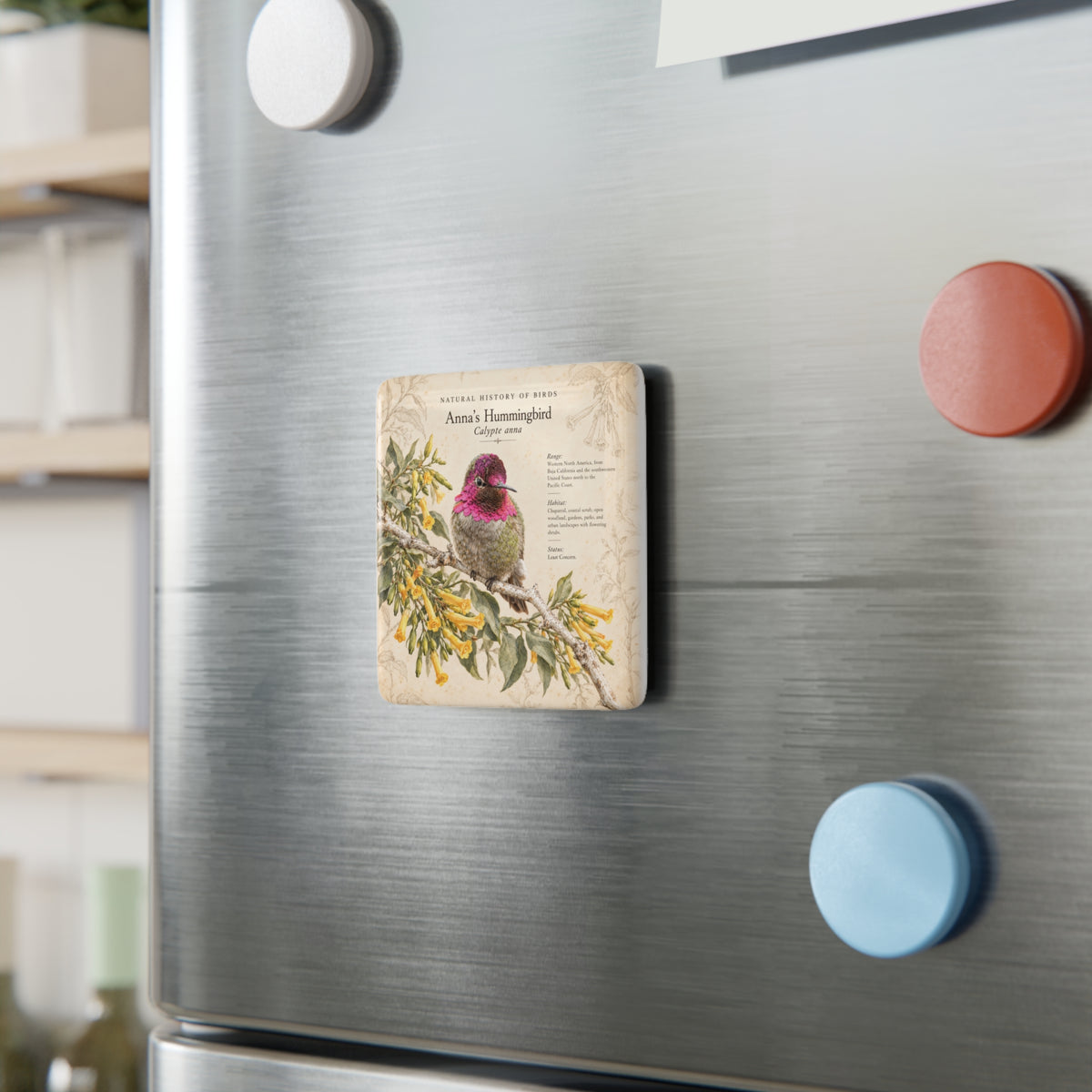 Anna's Hummingbird Porcelain Magnet