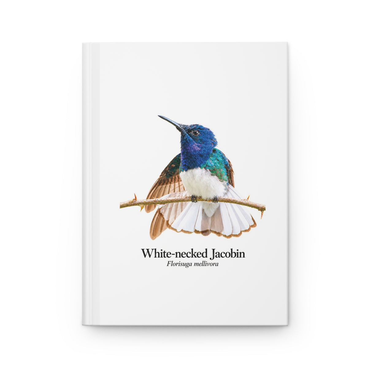 White-necked Jacobin Hardcover Journal