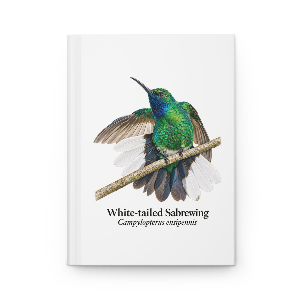 White-tailed Sabrewing Hardcover Journal