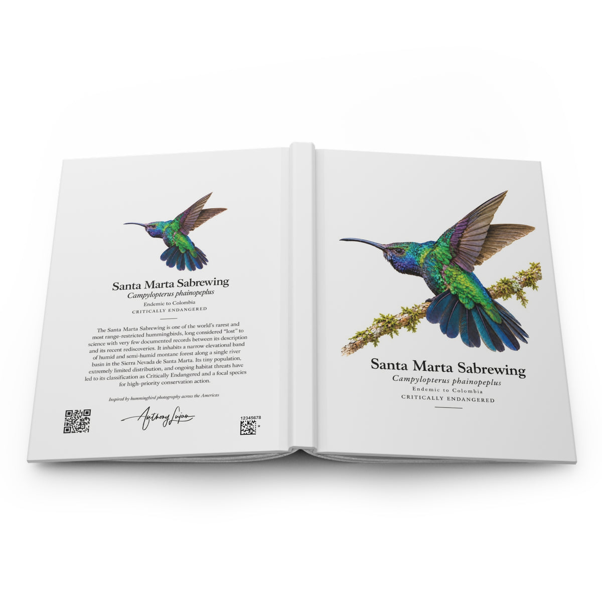Santa Marta Sabrewing Hardcover Journal
