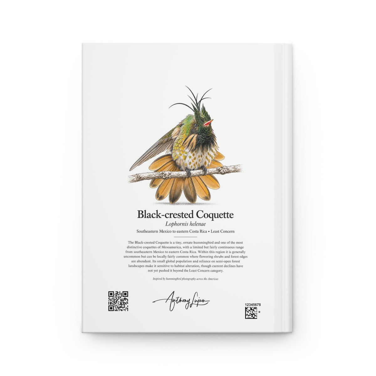 Black-crested Coquette Hardcover Journal