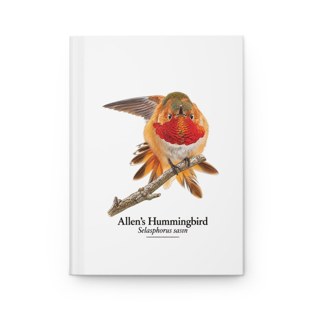 Allen's Hummingbird Hardcover Journal