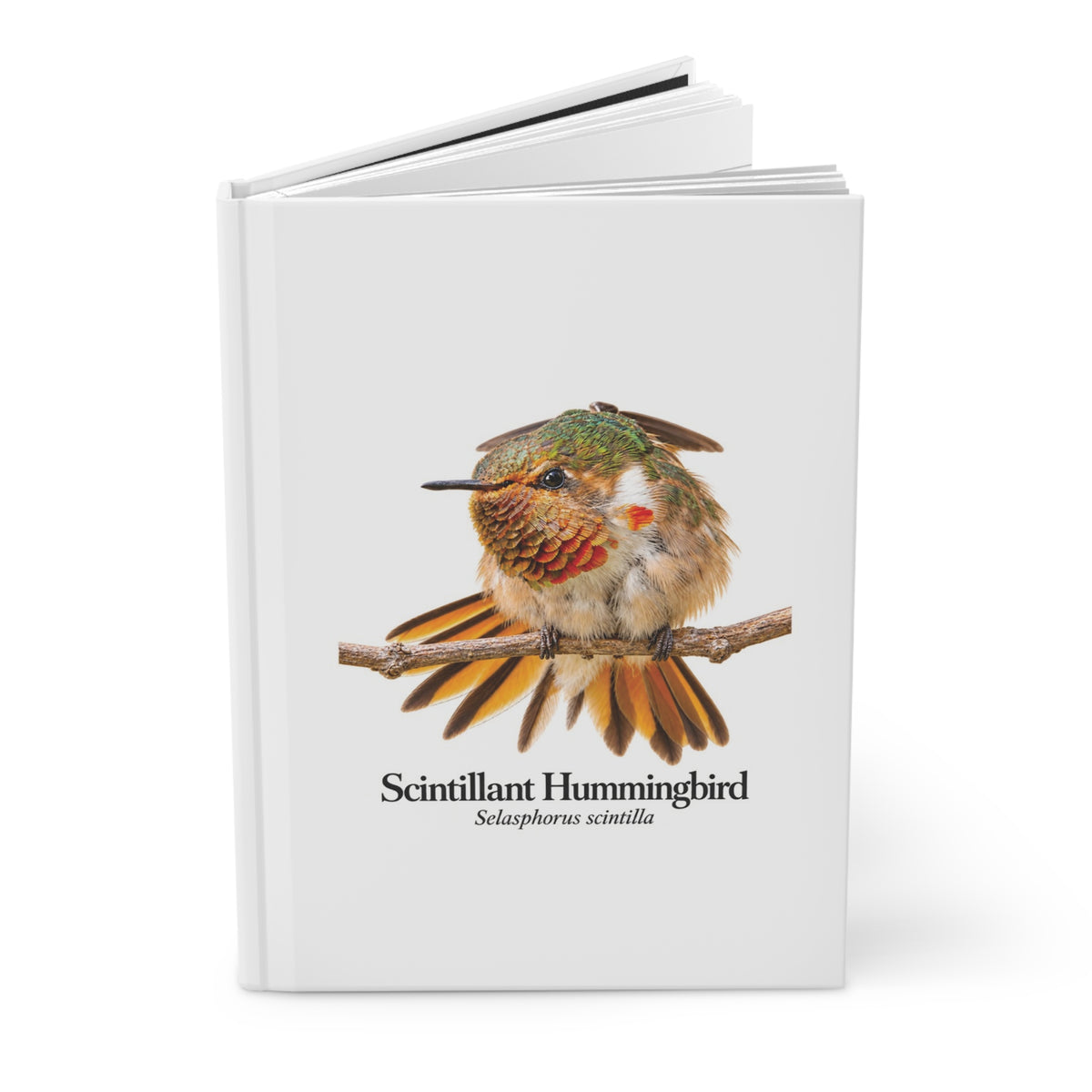 Scintillant Hummingbird Hardcover Journal