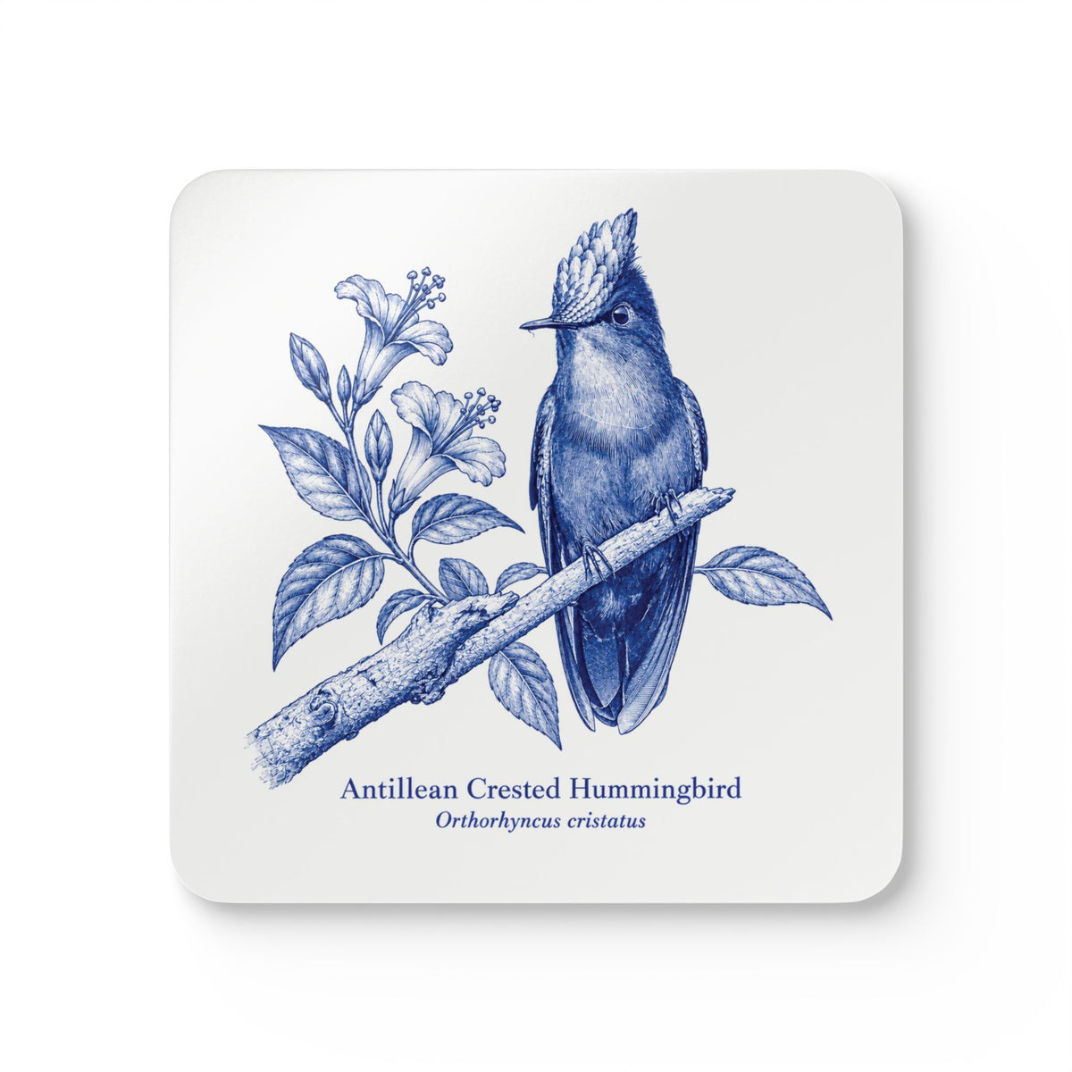 Antillean Crested Hummingbird Delft Blue Cork Coaster Set