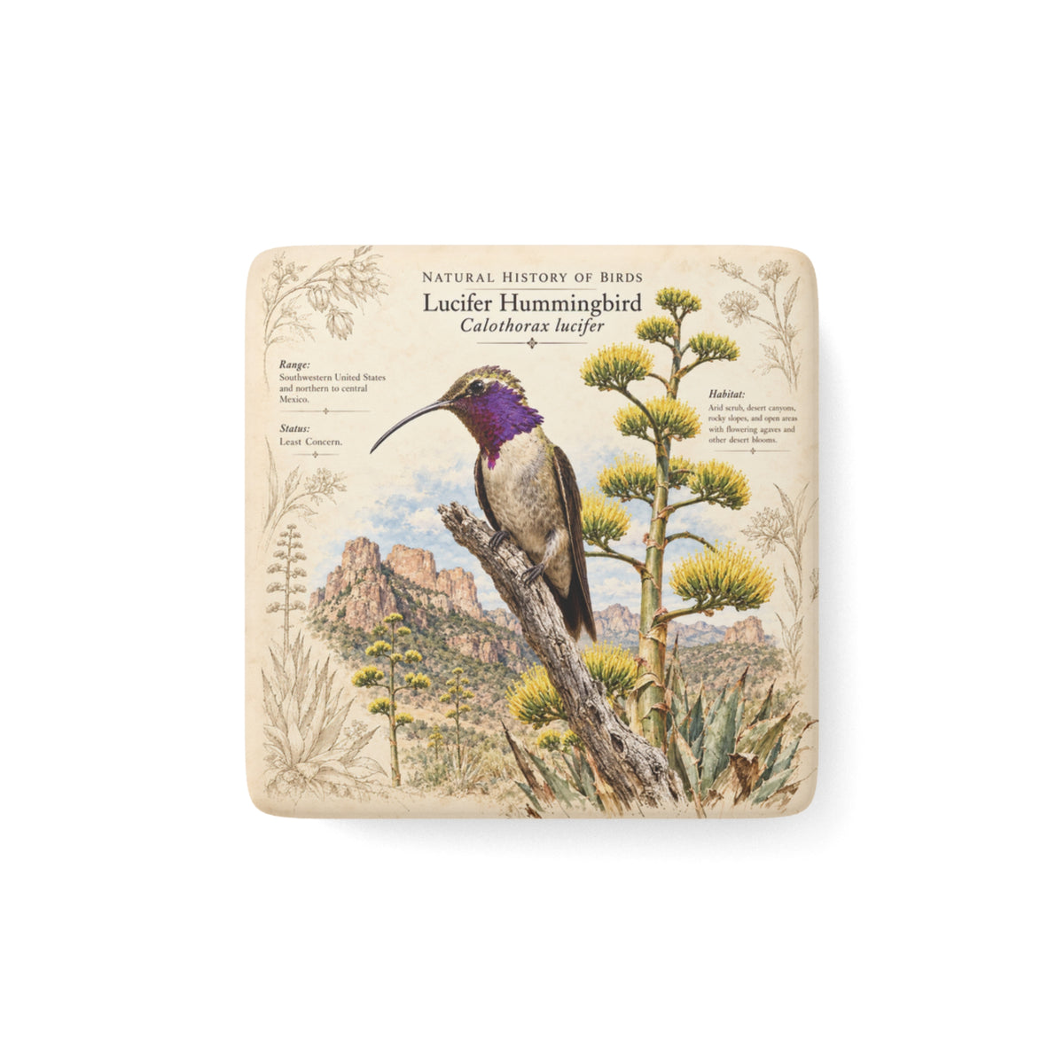 Lucifer Hummingbird Porcelain Magnet
