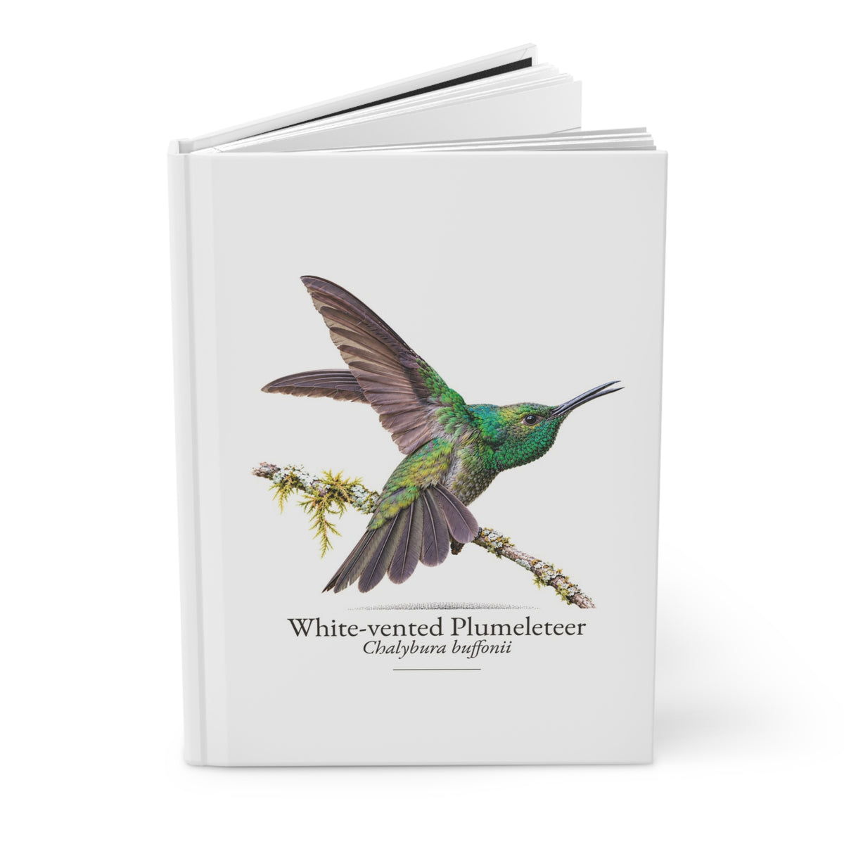 White-vented Plumeleteer Hardcover Journal