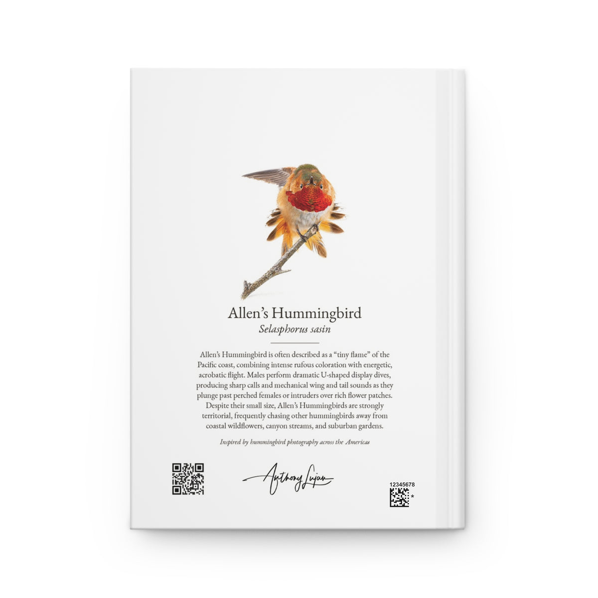 Allen's Hummingbird Hardcover Journal
