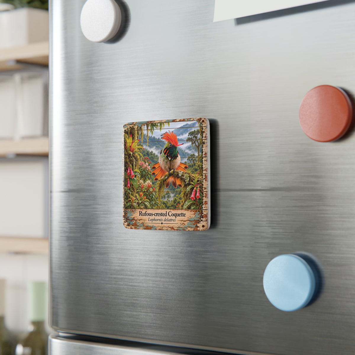 Rufous-crested Coquette Porcelain Tile Magnet