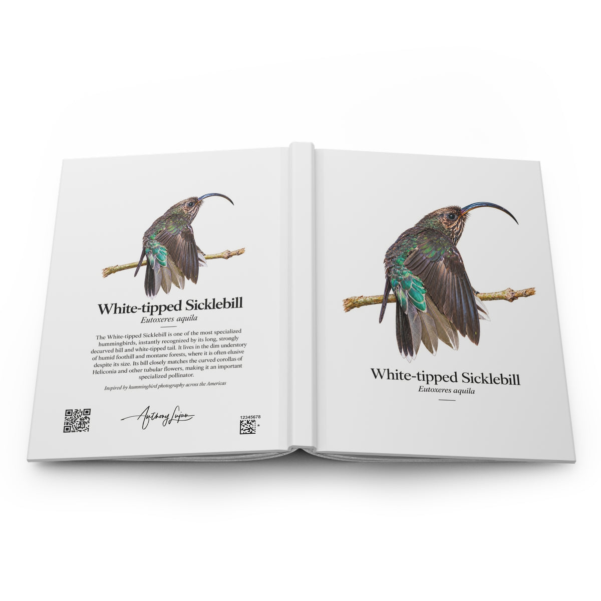 White-tipped Sicklebill Hardcover Journal