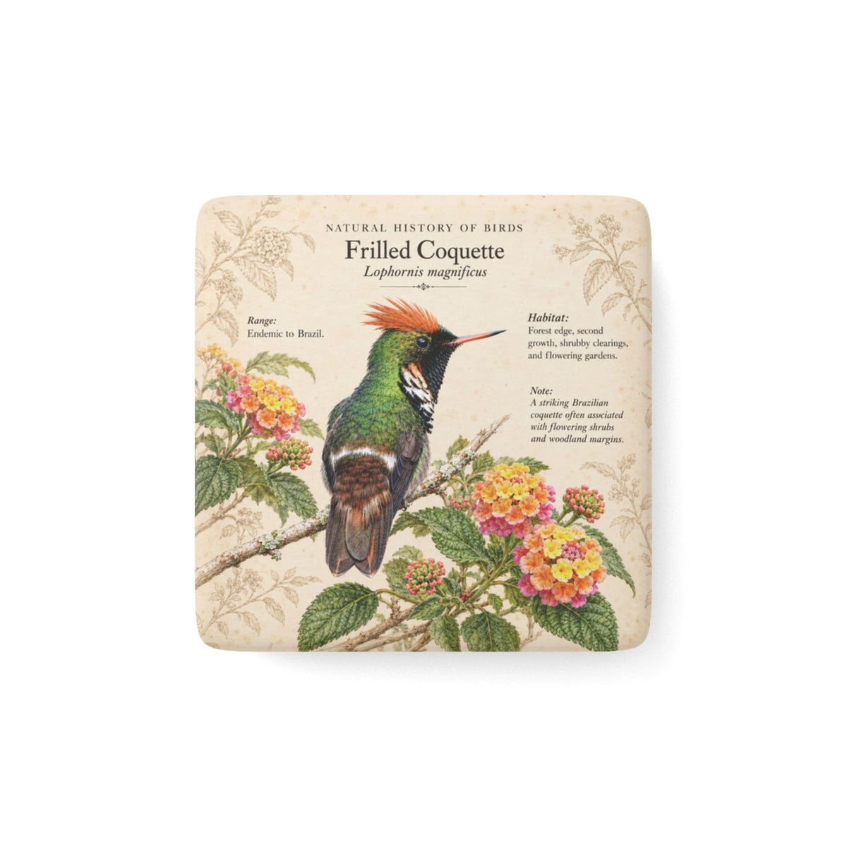 Frilled Coquette Porcelain Magnet