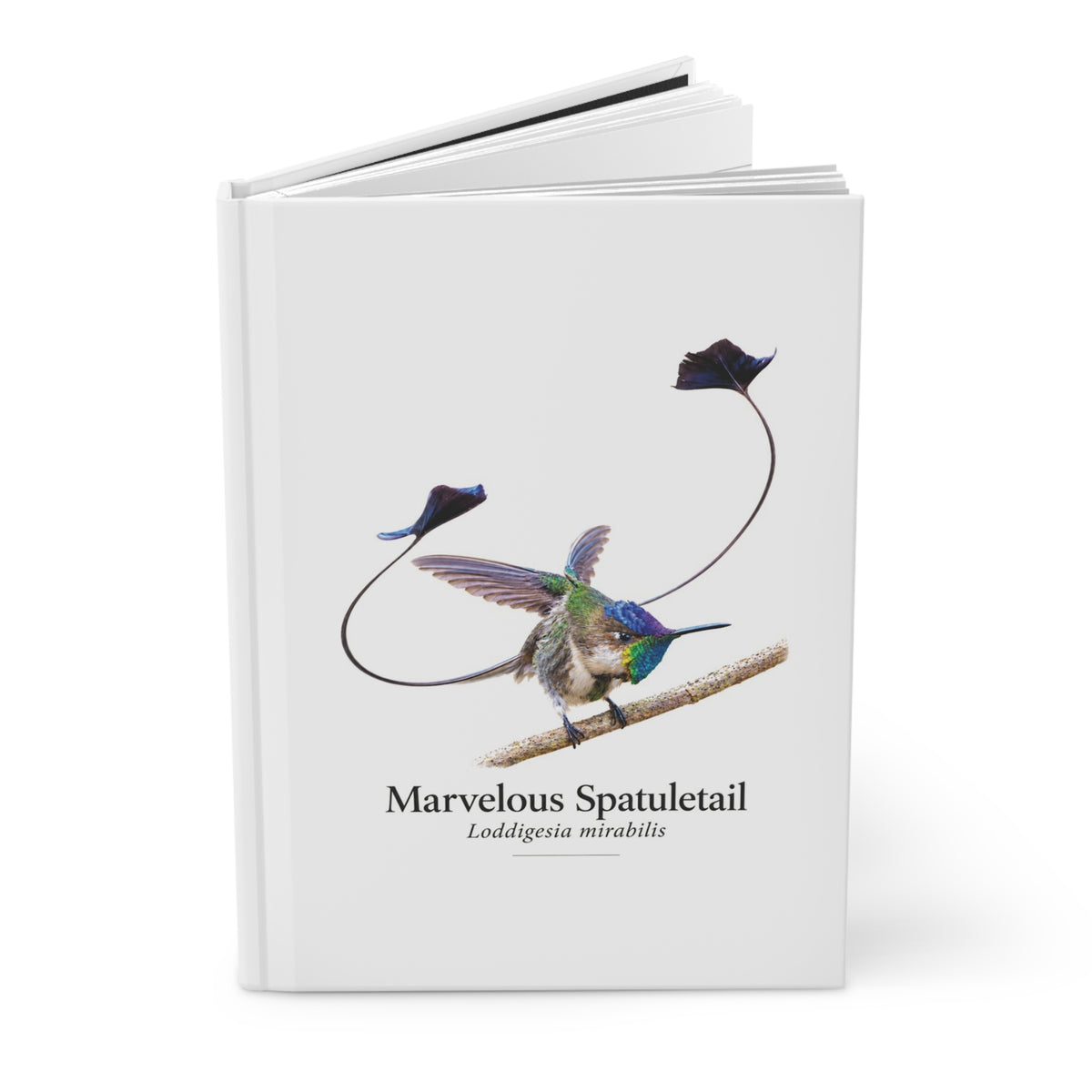Marvelous Spatuletail Hardcover Journal