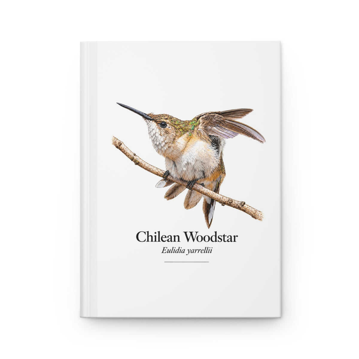 Chilean Woodstar female Hardcover Journal