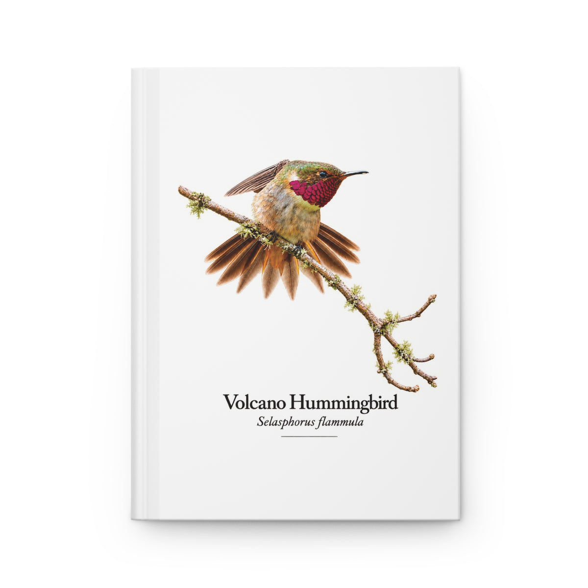 Volcano Hummingbird Hardcover Journal