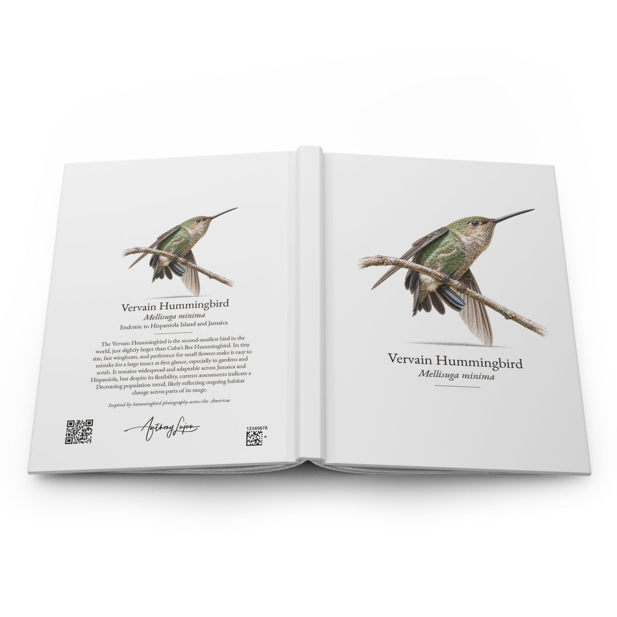 Vervain Hummingbird Hardcover Journal