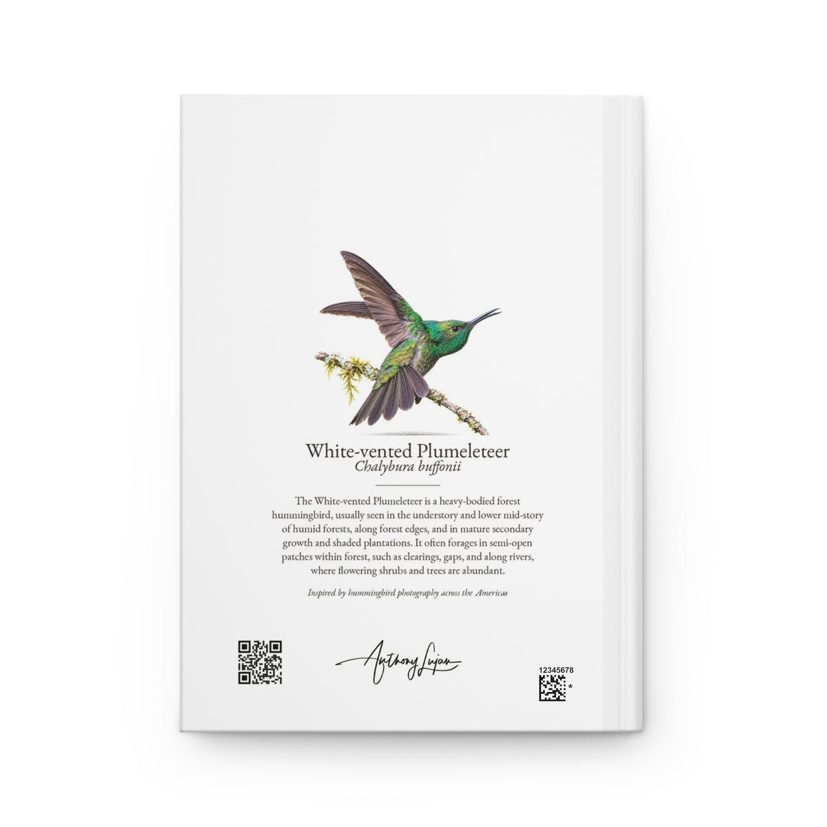 White-vented Plumeleteer Hardcover Journal