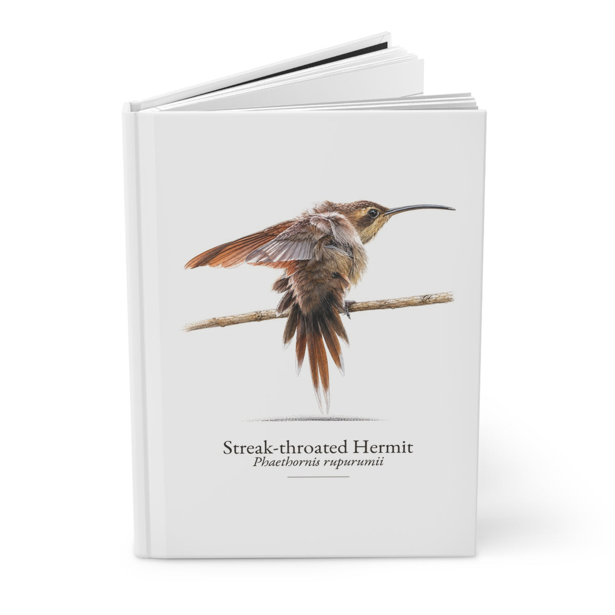 Streak-throated Hermit Hardcover Journal