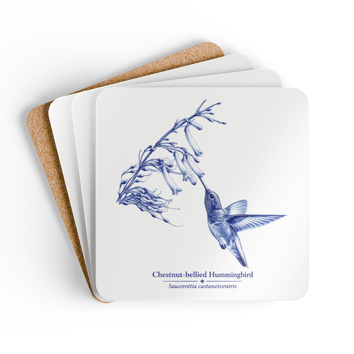 Chestnut-bellied Hummingbird Blue Delft Cork Coaster Set