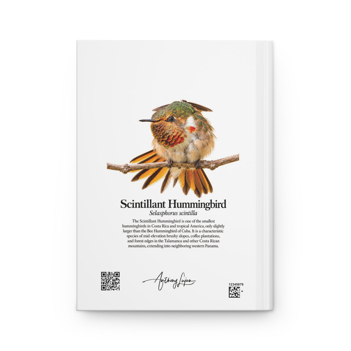 Scintillant Hummingbird Hardcover Journal