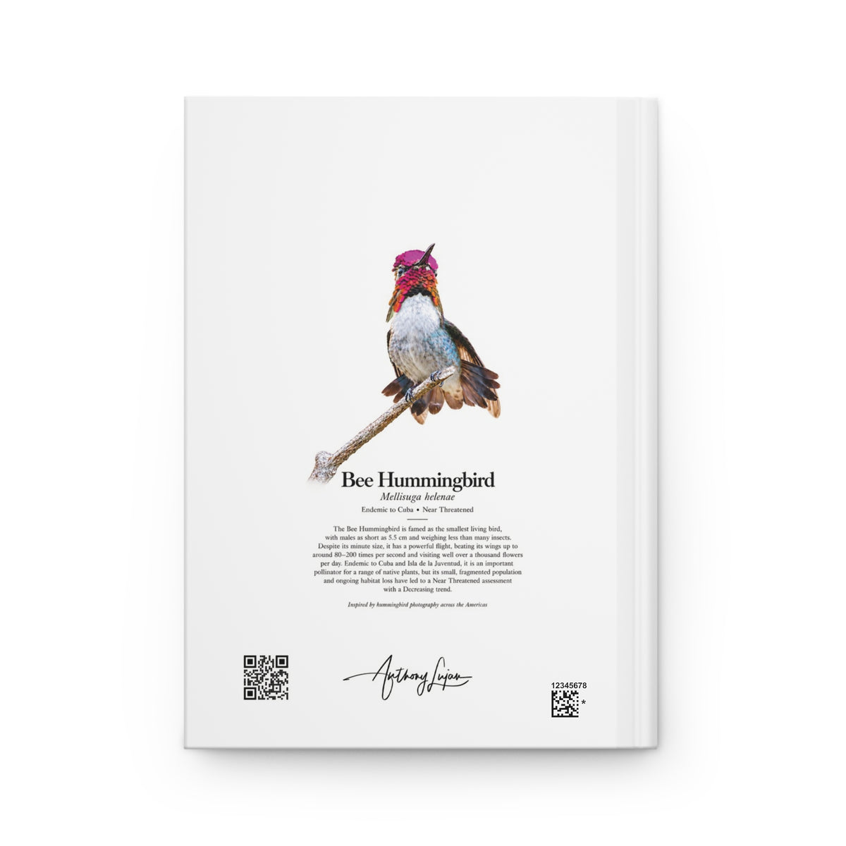 Bee Hummingbird Hardcover Journal