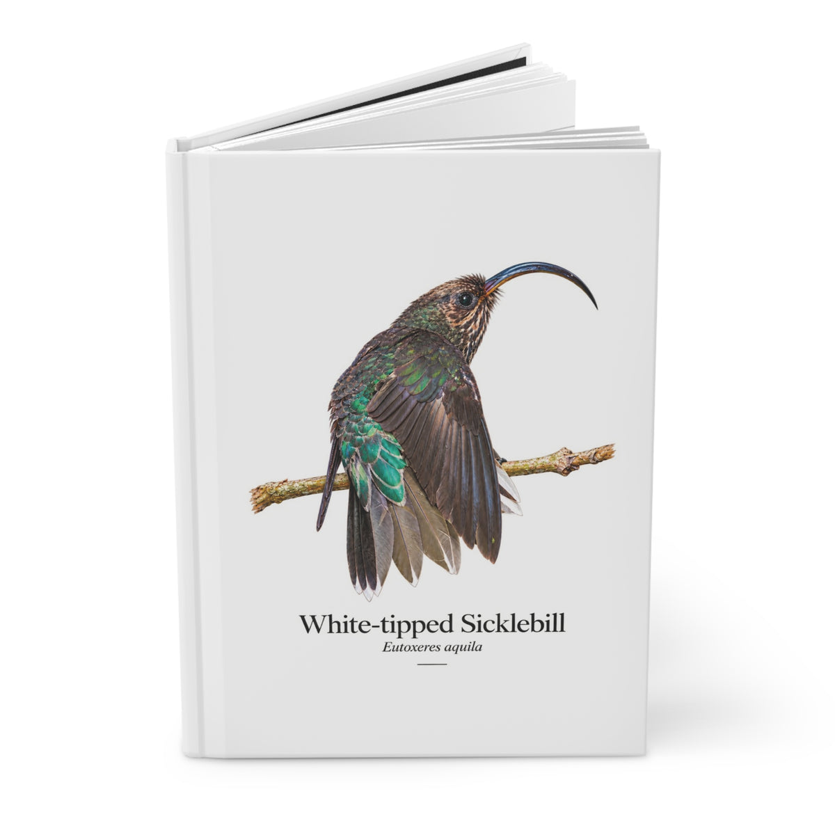White-tipped Sicklebill Hardcover Journal