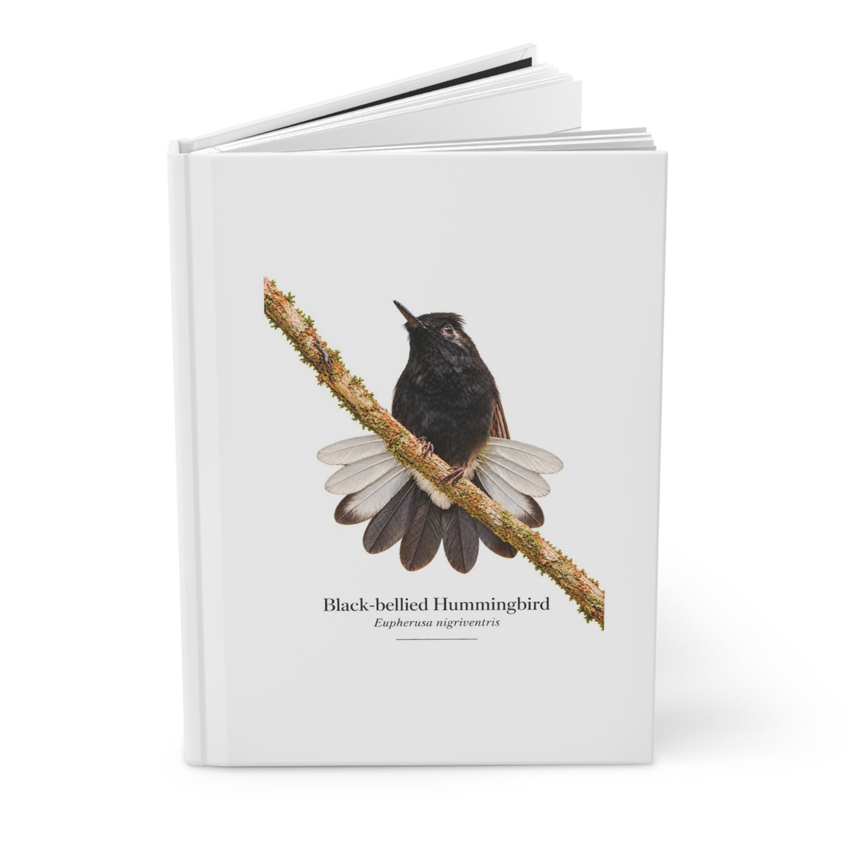 Black-bellied Hummingbird Hardcover Journal
