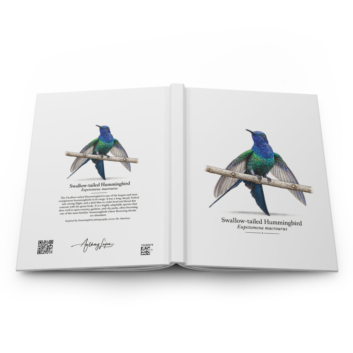 Swallow-tailed Hummingbird Hardcover Journal