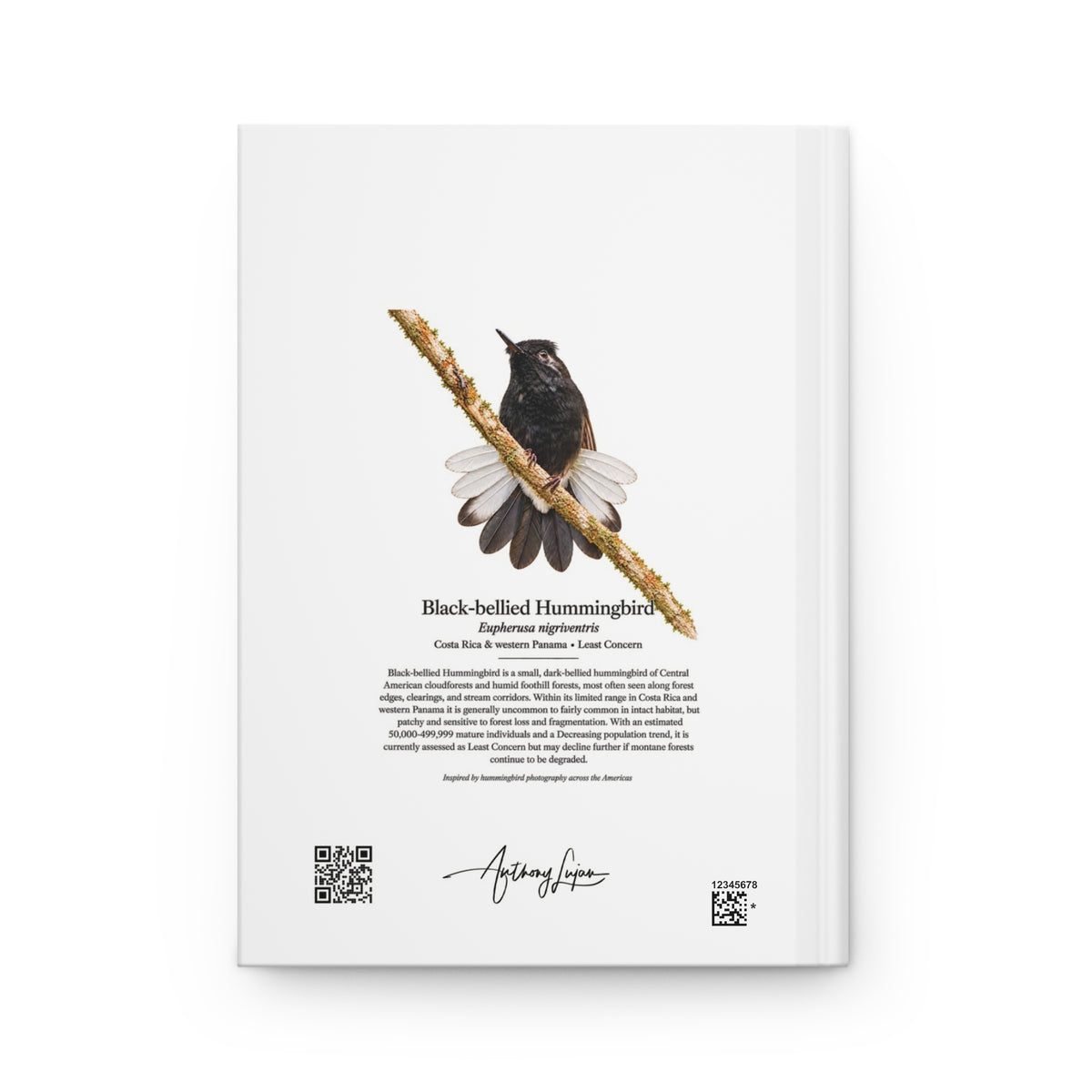 Black-bellied Hummingbird Hardcover Journal