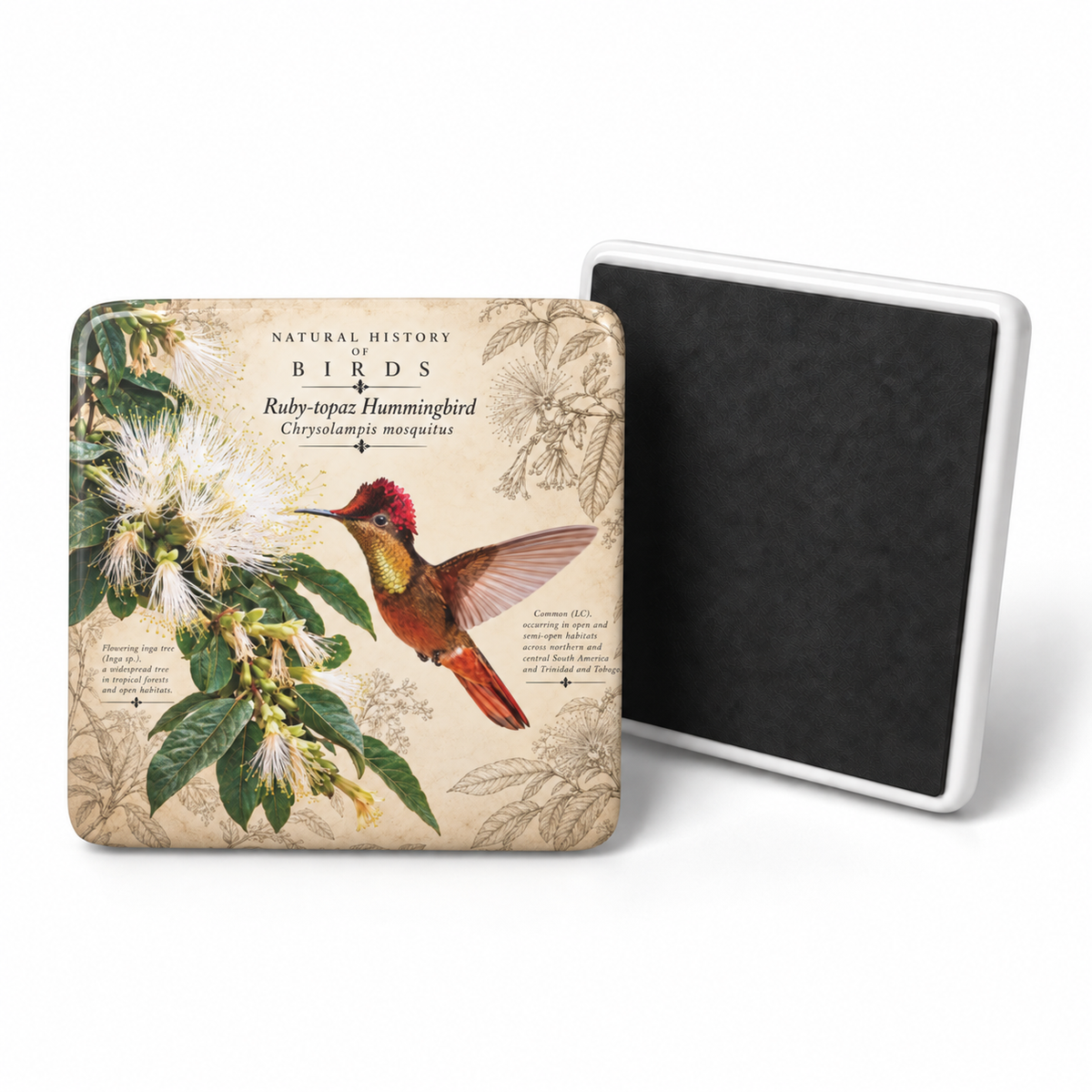 Ruby-topaz Hummingbird Porcelain Magnet