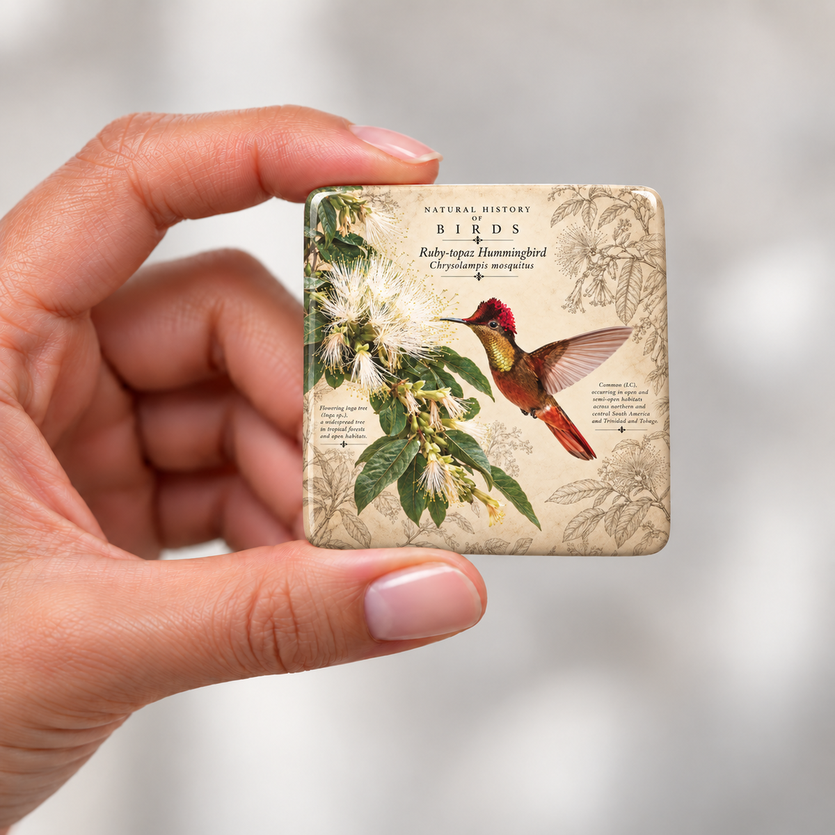 Ruby-topaz Hummingbird Porcelain Magnet