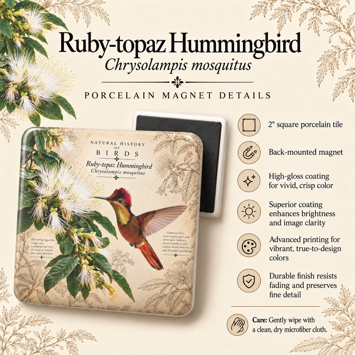 Ruby-topaz Hummingbird Porcelain Magnet