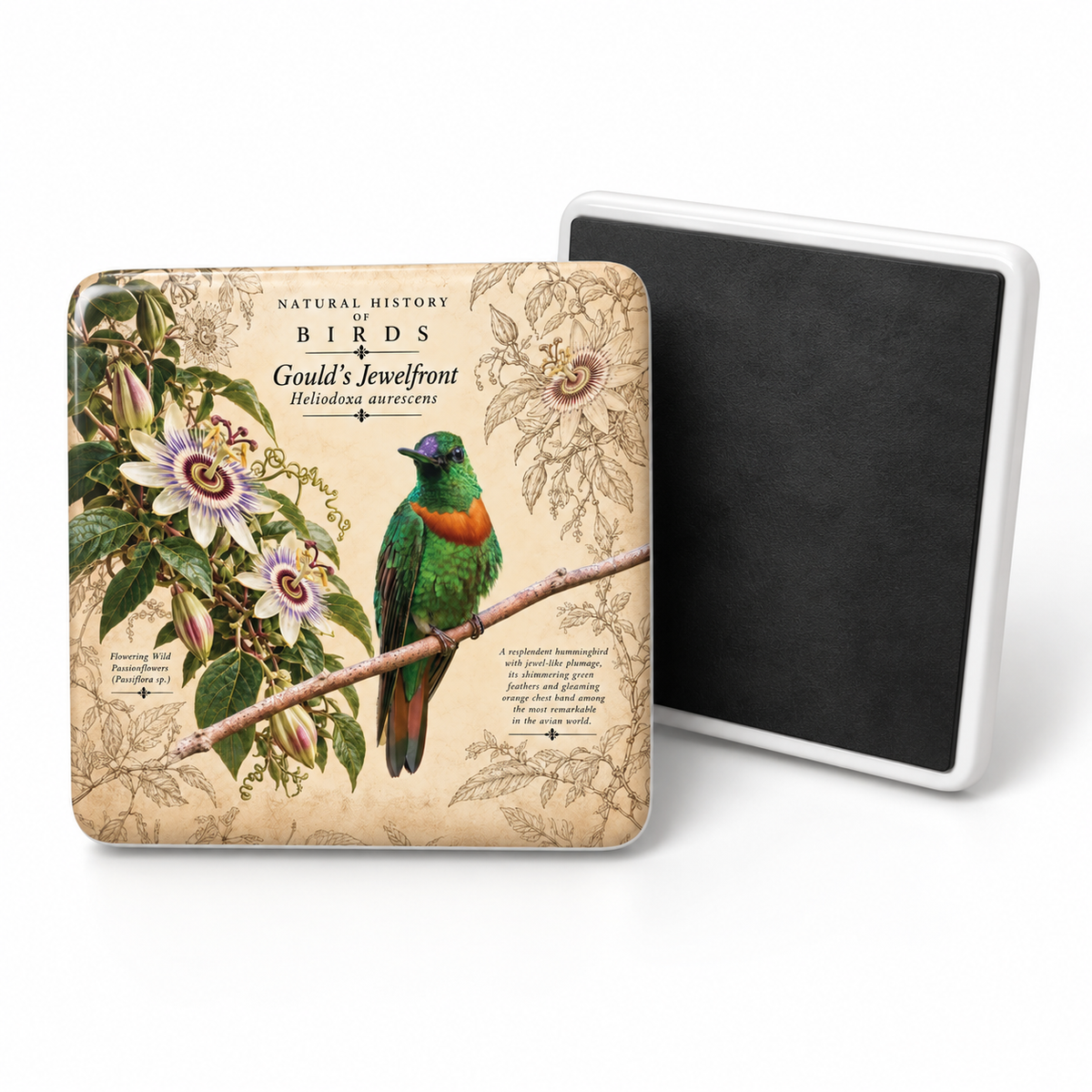 Gould's Jewelfrontlet Porcelain Magnet
