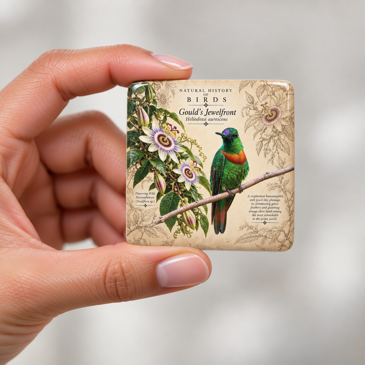 Gould's Jewelfrontlet Porcelain Magnet