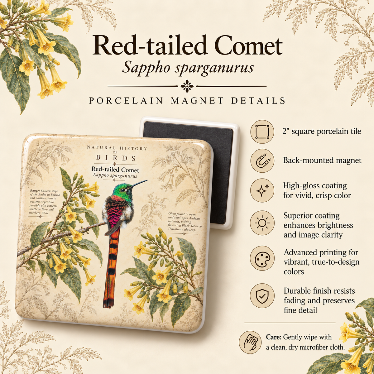 Red-tailed Comet Porcelain Magnet