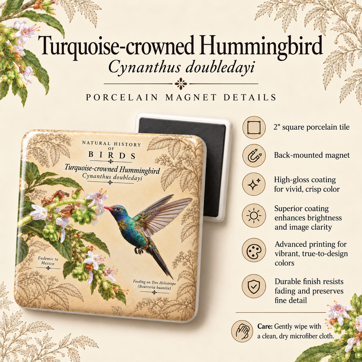 Turquoise-crowned Hummingbird Porcelain Magnet