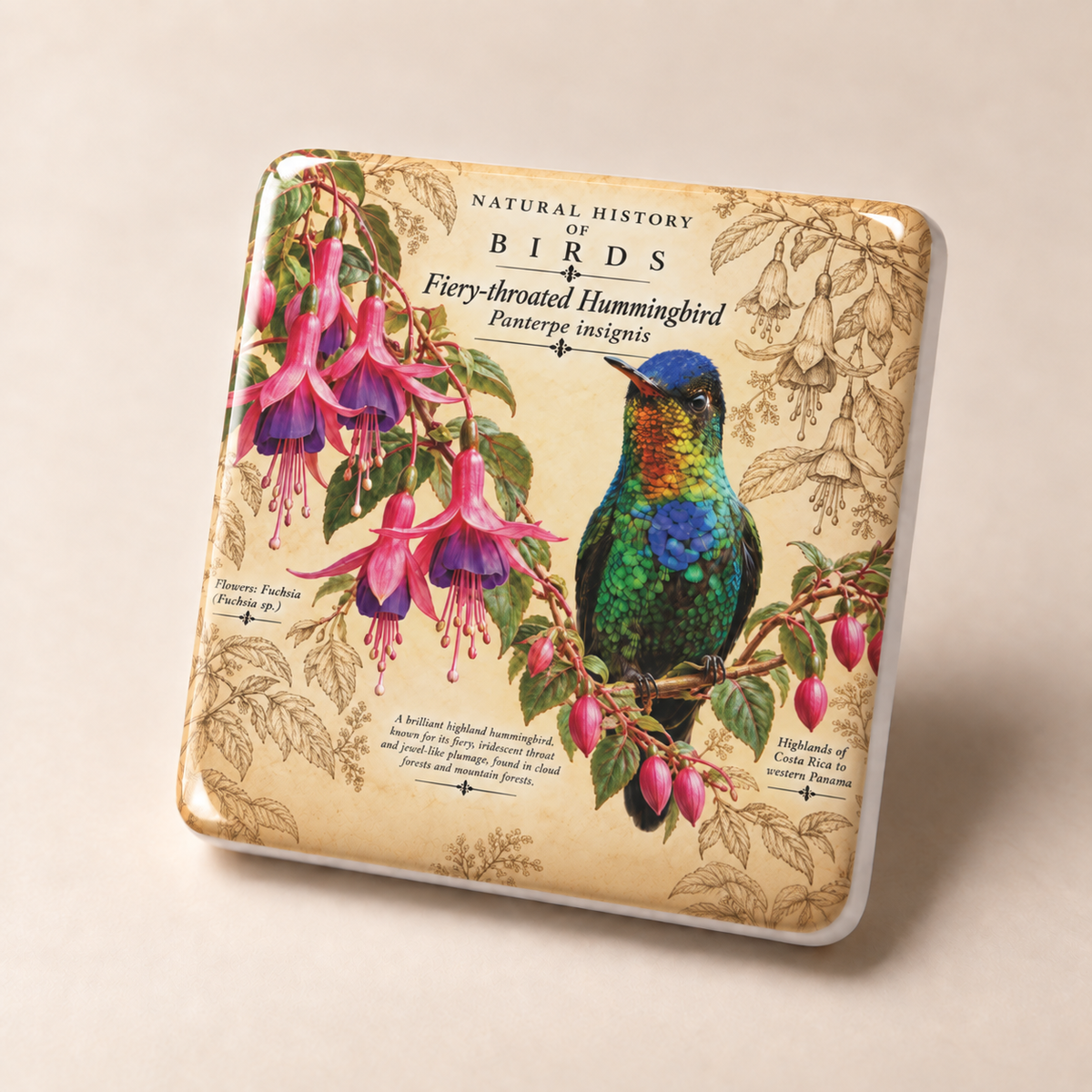 Fiery-throated Hummingbird Porcelain Magnet