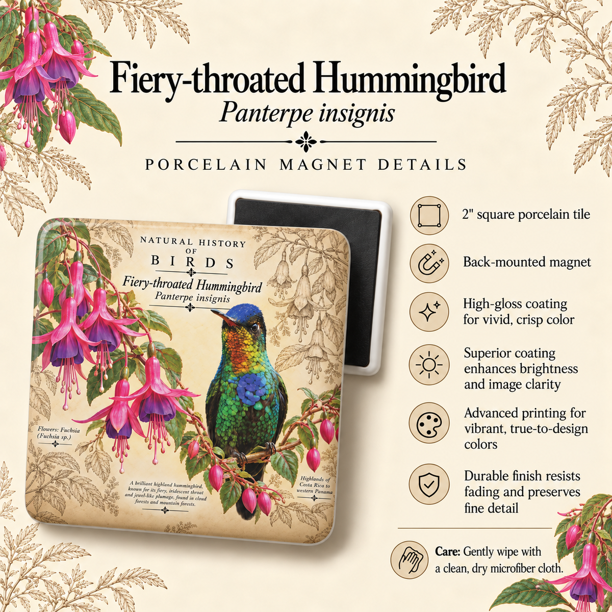 Fiery-throated Hummingbird Porcelain Magnet
