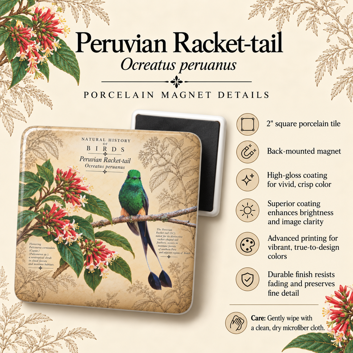 Peruvian Racket-tail Porcelain Magnet