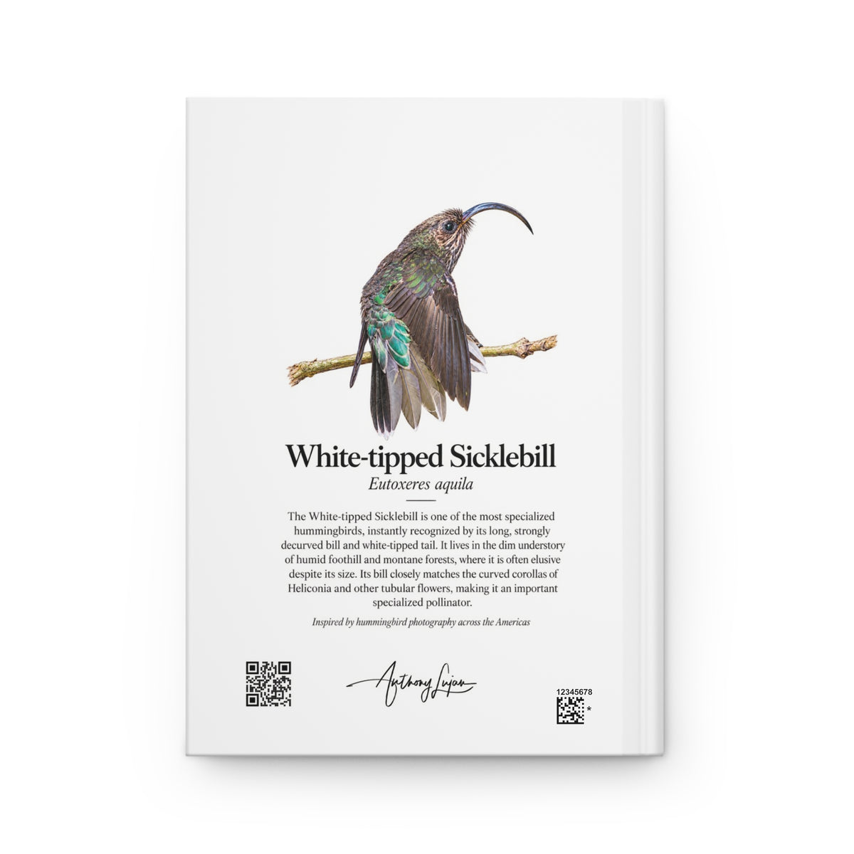 White-tipped Sicklebill Hardcover Journal
