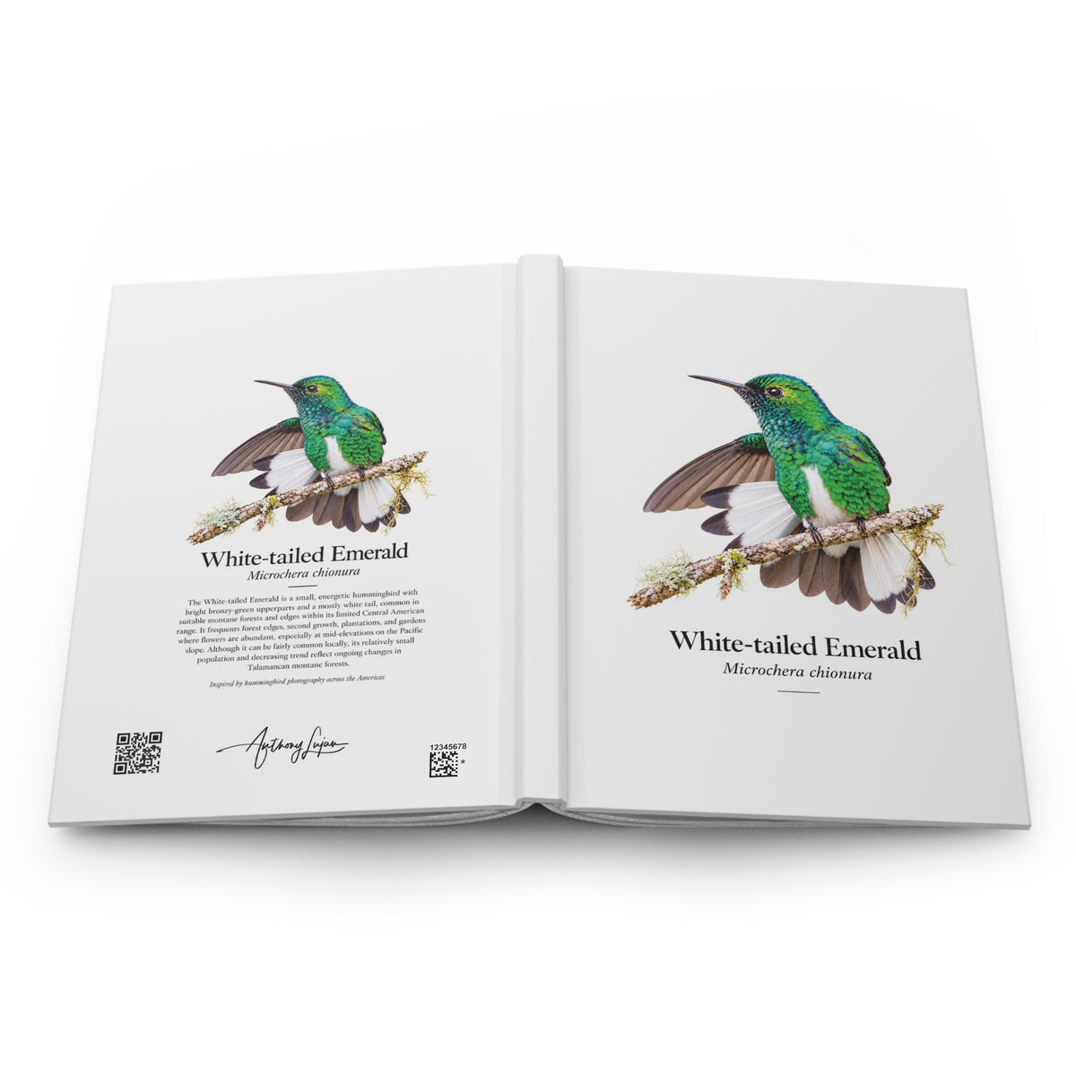 White-tailed Emerald Hardcover Journal