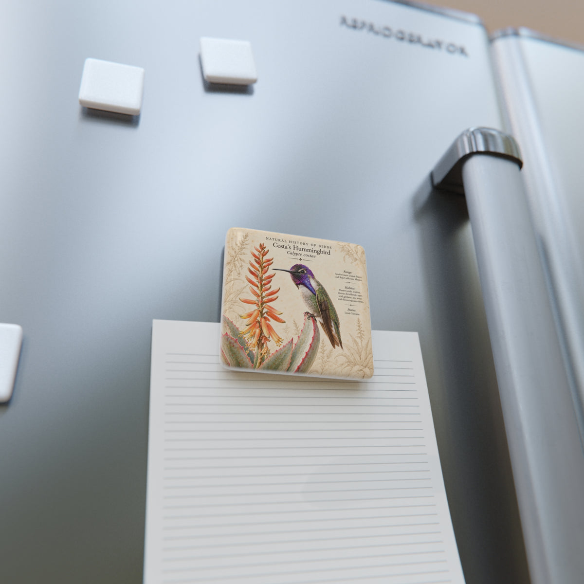 Costa's Hummingbird Porcelain Magnet