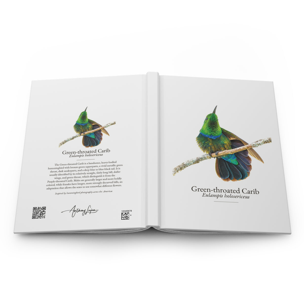 Green-throated Carib Hardcover Journal
