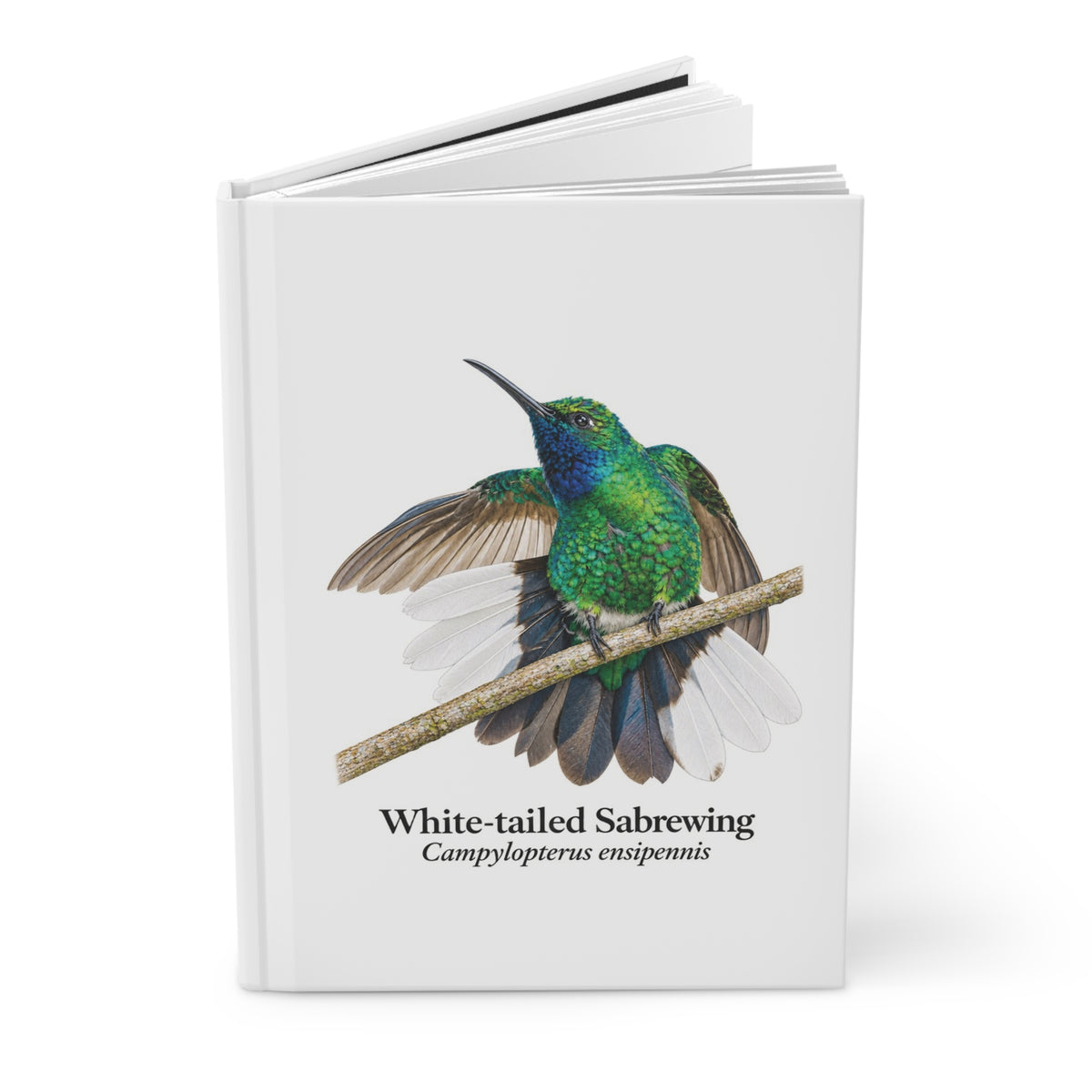 White-tailed Sabrewing Hardcover Journal