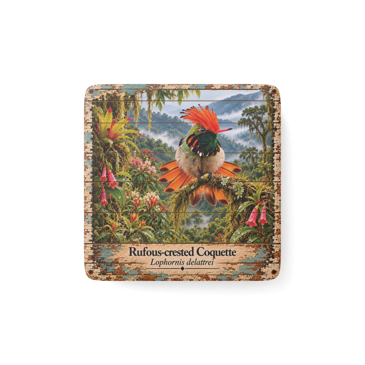 Rufous-crested Coquette Porcelain Tile Magnet