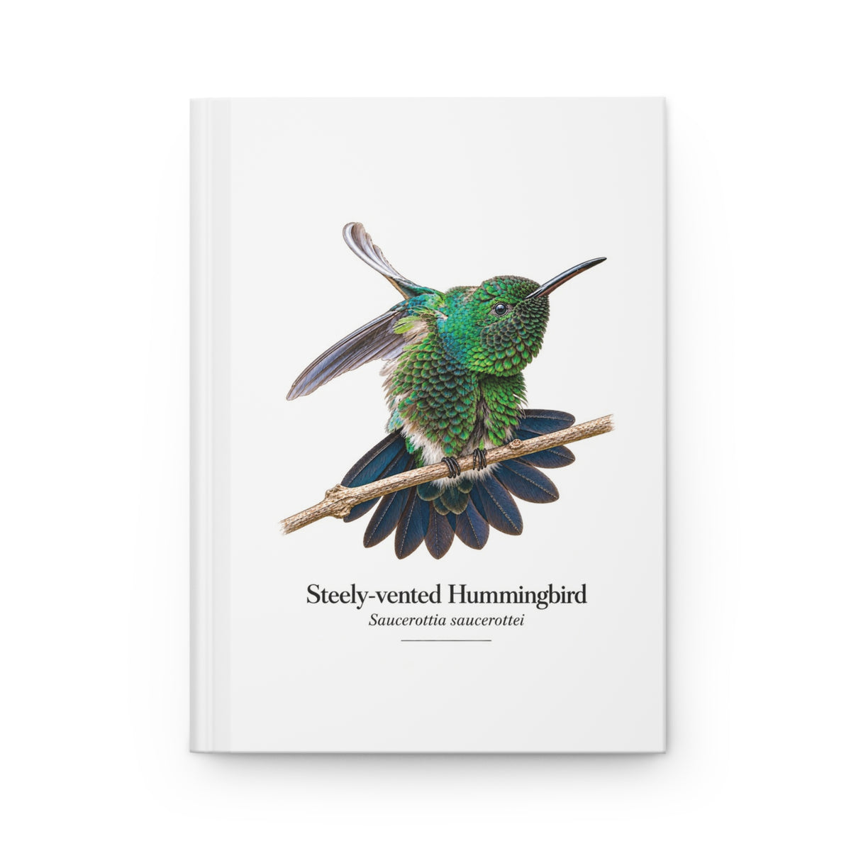 Steely-vented Hummingbird Hardcover Journal