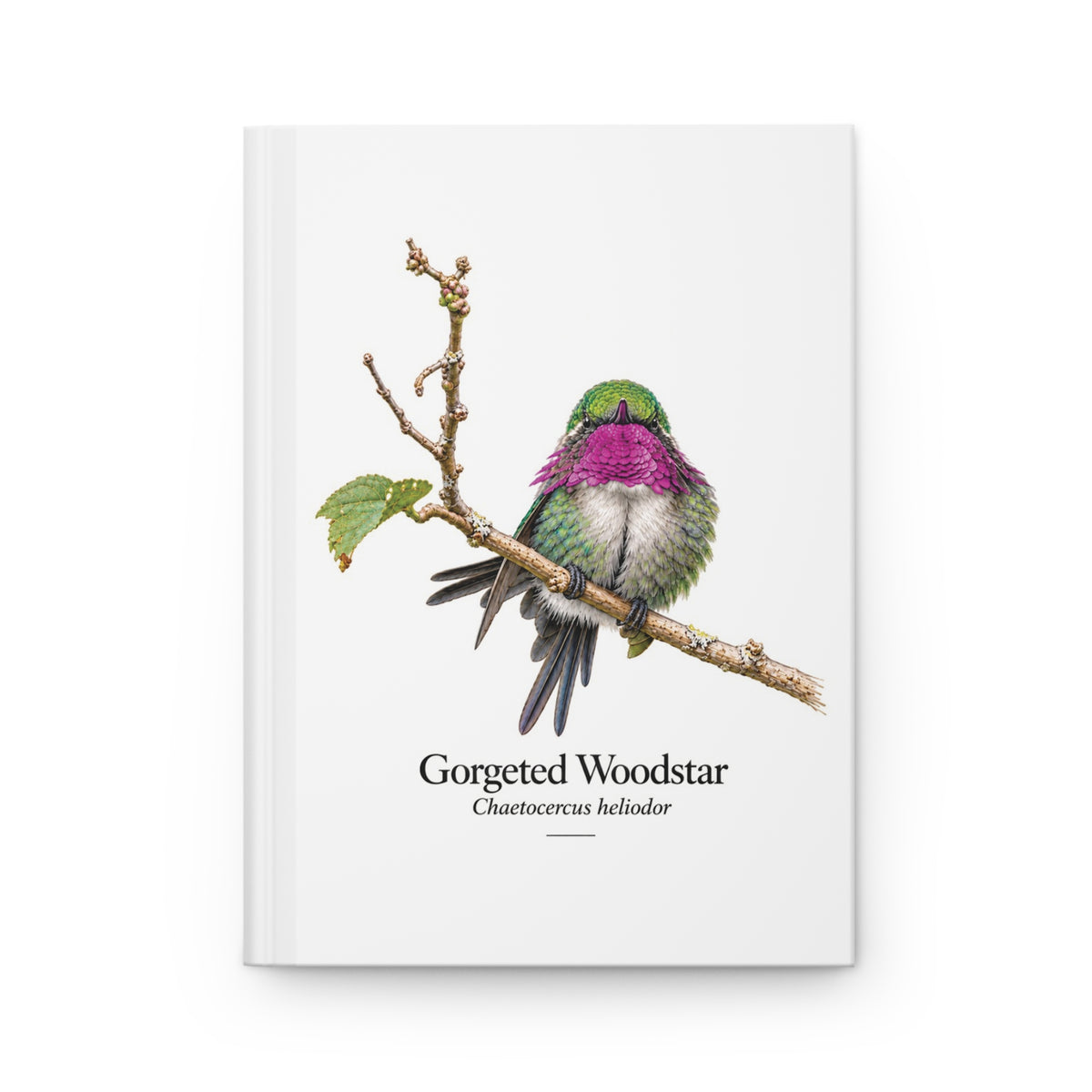 Gorgeted Woodstar Hardcover Journal