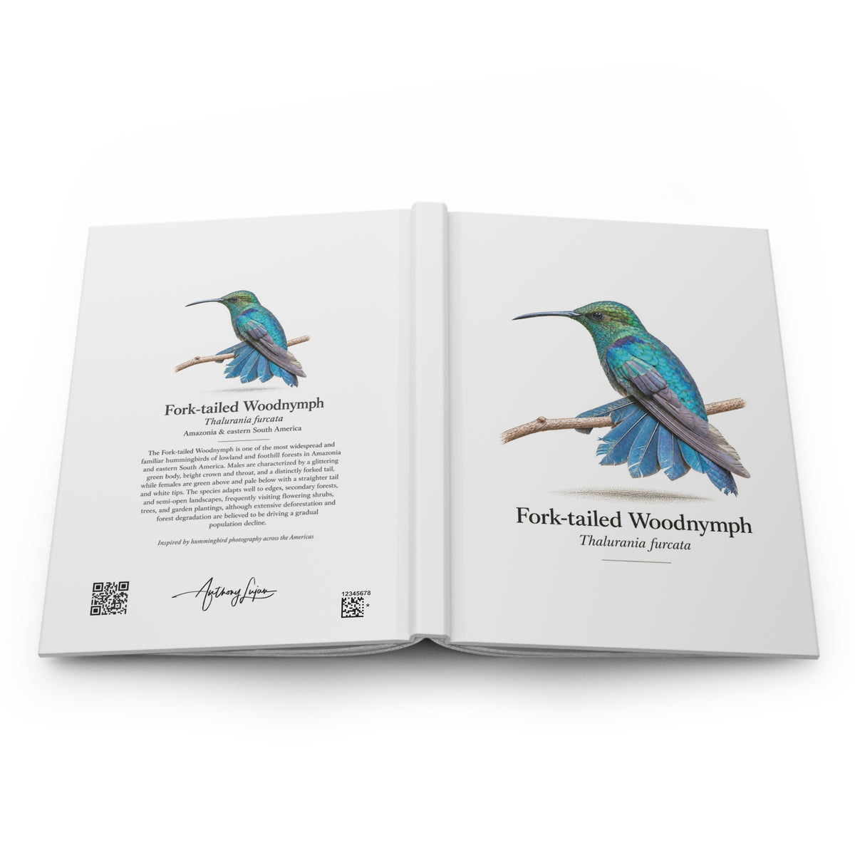 Fork-tailed Woodnymph Hardcover Journal