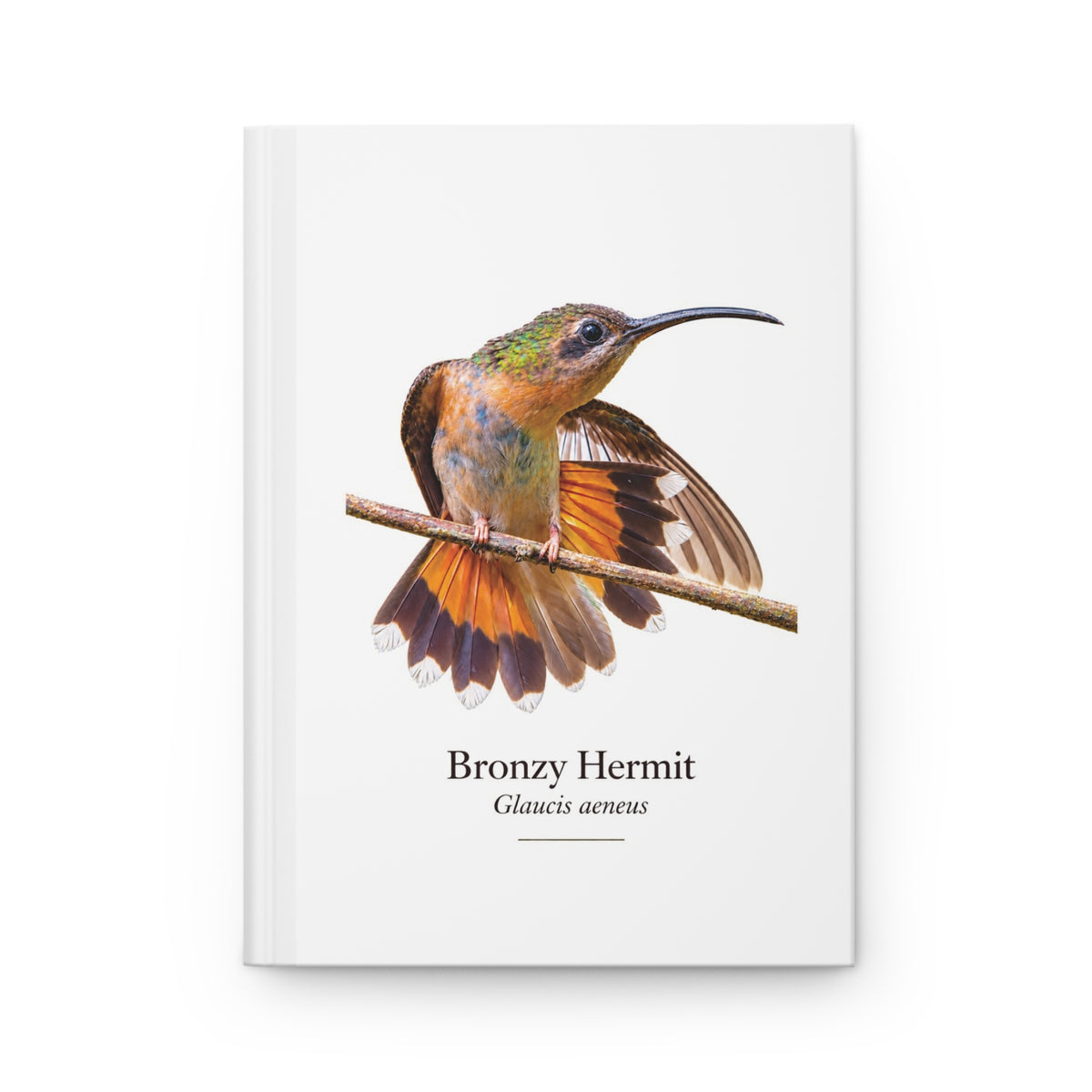 Bronzy Hermit Hardcover Journal