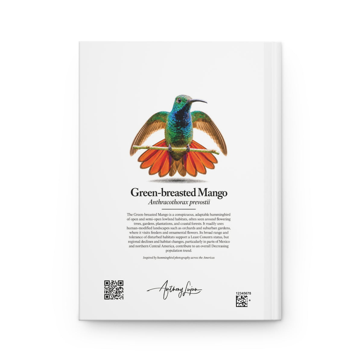 Green-breasted Mango Hardcover Journal