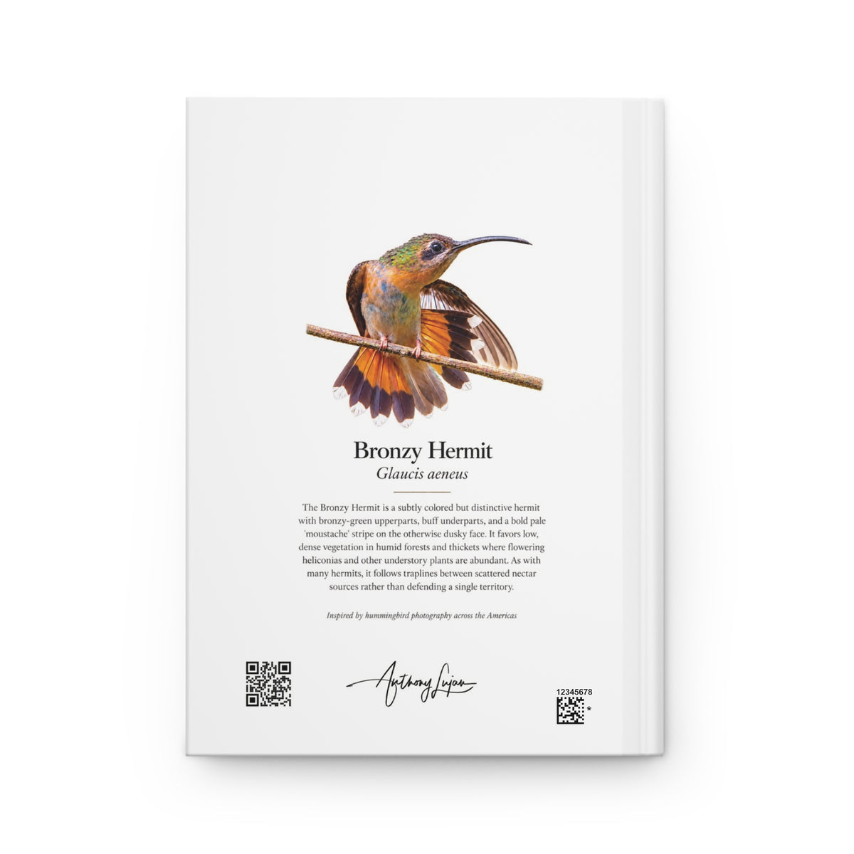 Bronzy Hermit Hardcover Journal